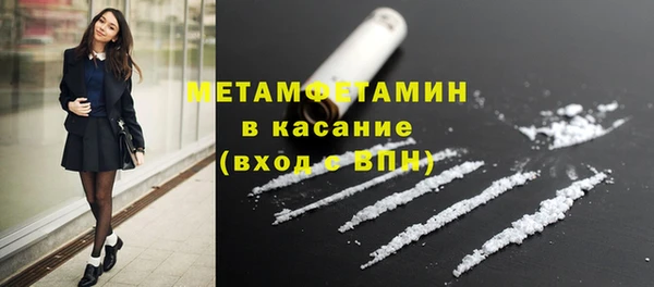 индика Мегион