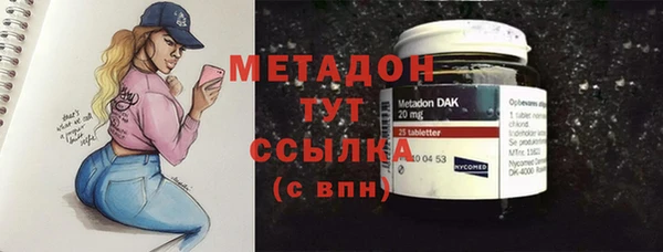 индика Мегион