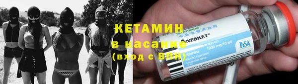 индика Мегион