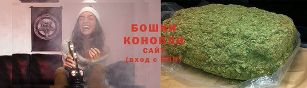 индика Мегион