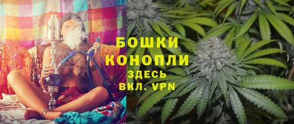 СК Медвежьегорск