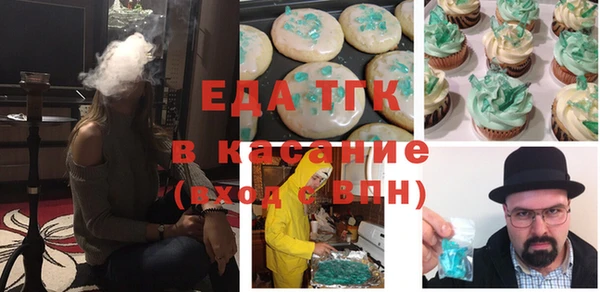 индика Мегион