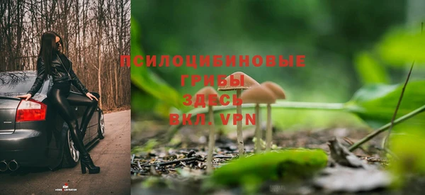 СК Медвежьегорск