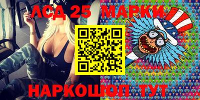 мяу мяу мука Аргун