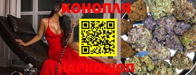 мяу мяу мука Аргун