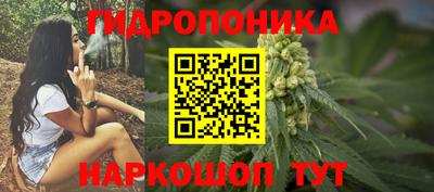 дживик Заводоуковск