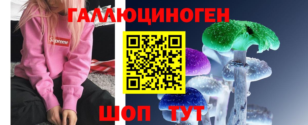 Псилоцибиновые грибы мицелий Избербаш